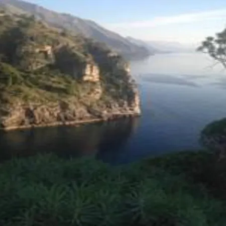 Biorelais Calamintha